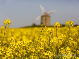 France Normandy